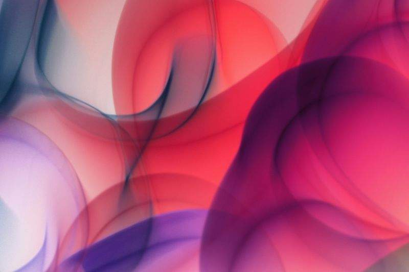 vasace-dovajo.site - Image 8